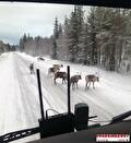 Vrachtwagen van Vroegindewey op een besneeuwde weg in Scandinavië